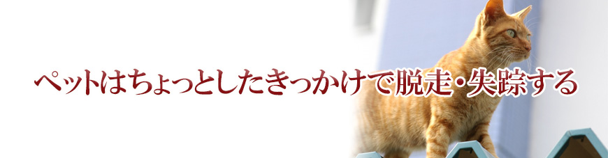 【豊田市　探偵】子ども見守り調査｜豊田市で子ども見守り調査で探偵をお探しならスマイルエージェント豊田にお任せください。