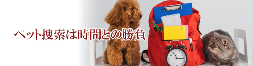 【豊田市　探偵】子ども見守り調査｜豊田市で子ども見守り調査で探偵をお探しならスマイルエージェント豊田にお任せください。