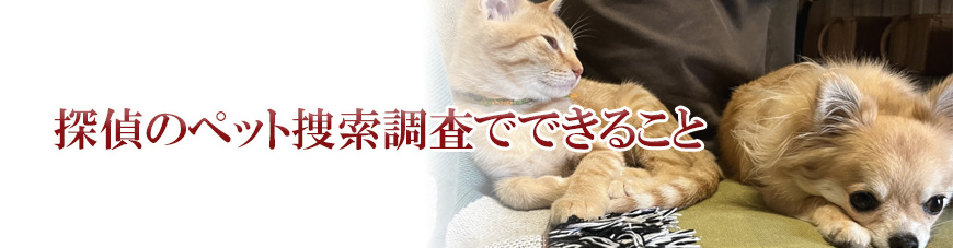 【豊田市　探偵】子ども見守り調査｜豊田市で子ども見守り調査で探偵をお探しならスマイルエージェント豊田にお任せください。